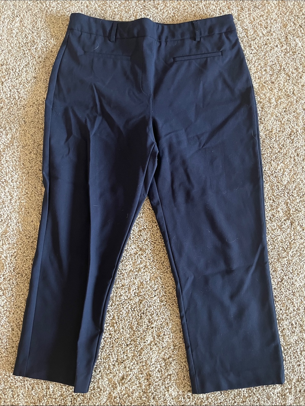 Rachel Zoe Navy Cropped Dress Pants